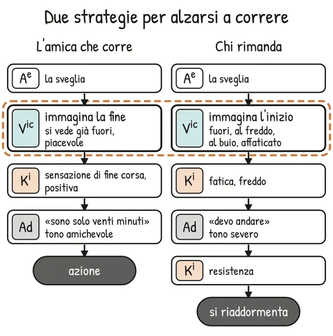 Schema V1-SCHEMA-24-1 – Capitolo 24 – Come si elicita una strategia